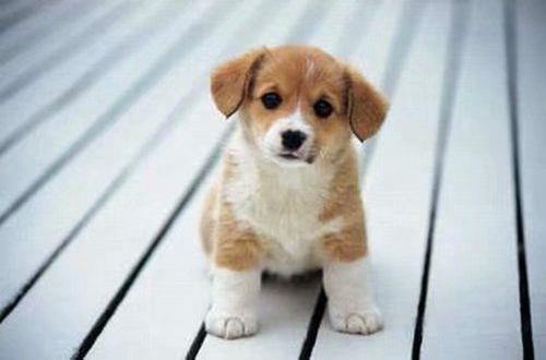 生日语句发朋友圈说说的好句子