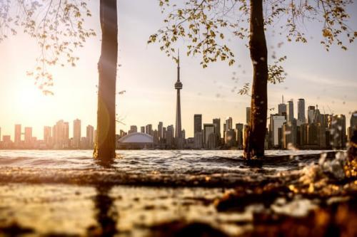 关于爱你如花的爱情句子