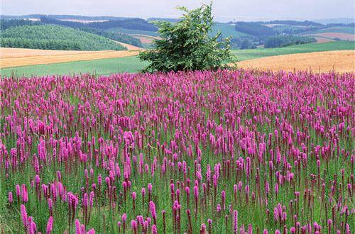 个性的表白说说