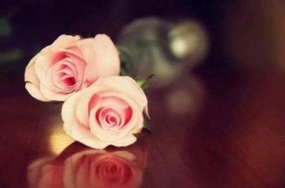 ​春节拜年祝福语问候短信送朋友
