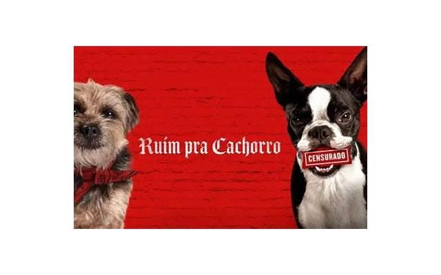 2025秋天来了的说说唯美伤感 2025秋天来了的说说唯美伤感