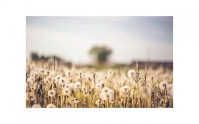 ​发朋友圈说消失一段时间说说 朋友圈关于时间的说说