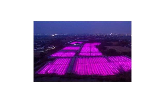 老公出轨说明什么 这几个表现说明男人已经出轨了