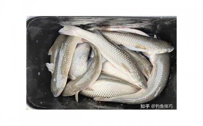 ​心情不好啥都不想做的说说