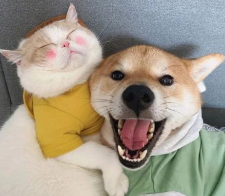 适合军训时发的说说短句