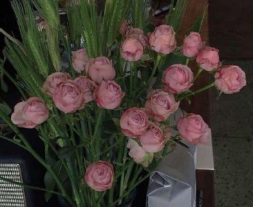 ​2025立夏时节唯美温馨祝福寄语汇编55句