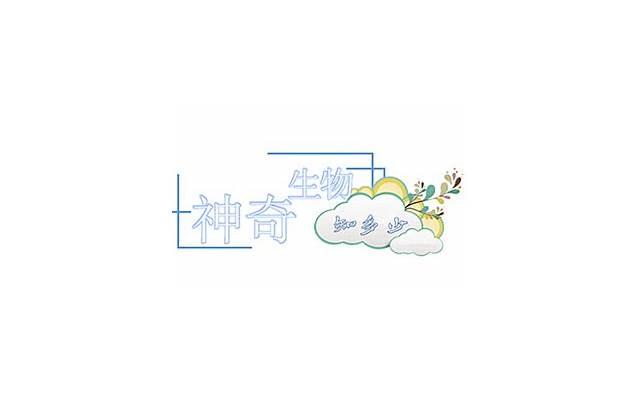 男人竟是因为这样才撒谎 盘点男人说的谎