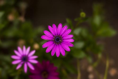 今生只想和你在一起的说说 今生只想和你在一起的说说