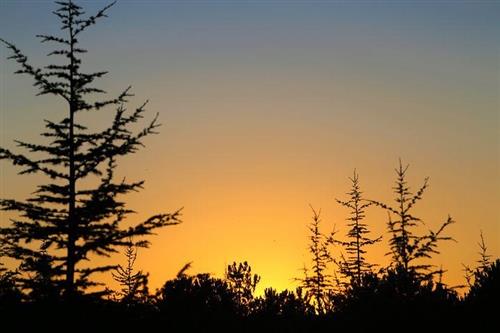 心情不好的句子发朋友圈(精选41句)