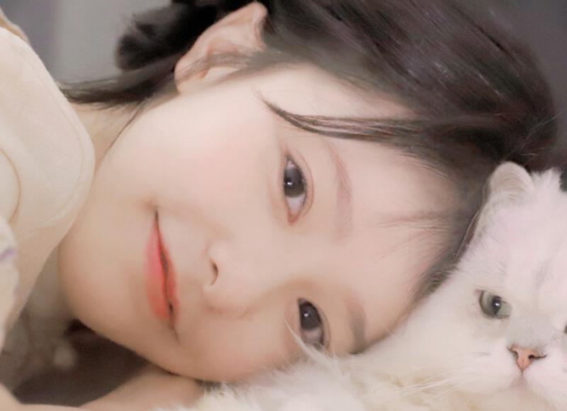 《搜一下迟来的情话》精选25条
