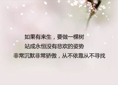 三毛最经典的情话 三毛经典语录大全