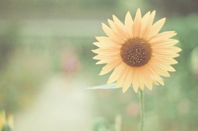 ​人生爱情感悟的句子84句