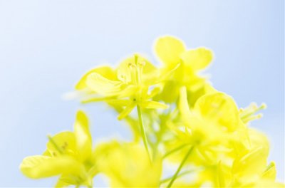 ​爱情签名幸福2023年108句