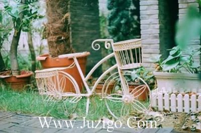 ​最感人的爱情语录92句