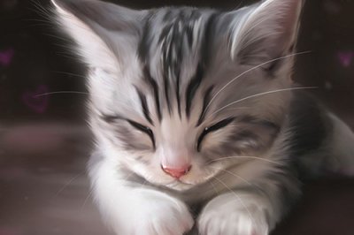 ​爱情心灵鸡汤经典语录105句