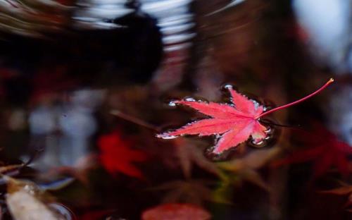 安全宣传标语口号