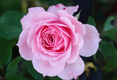 ​幽默搞笑的小组名字和口号集合(40条)