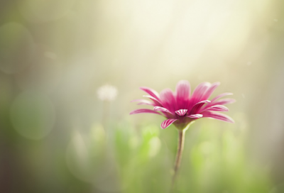 ​搞笑押韵的团队口号(分享45条)