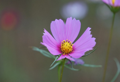 ​微博热评有趣搞笑的队名口号