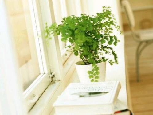 激励员工霸气口号 励志口号大全学生