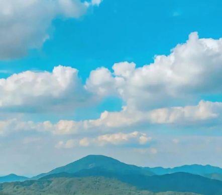 20句优美的爱情句子