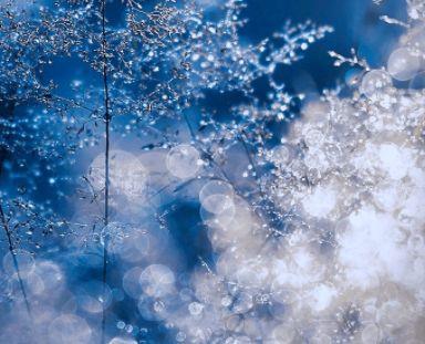 关于爱情的思念语句