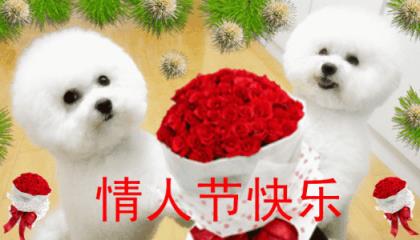 给男朋友qq空间留言