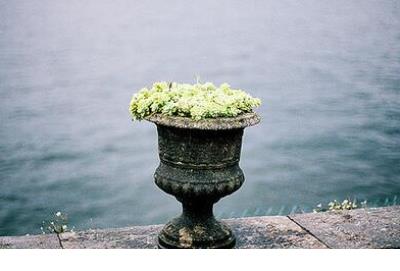 告白的情话简短句子