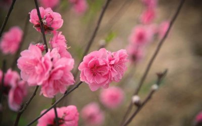 ​一句话诠释爱的最高境界（25句有深度有涵养的爱情句子）