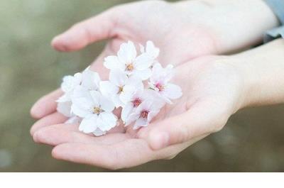 情话最暖心短句大全