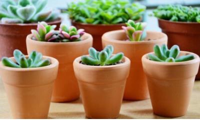 对爱情失去期待的句子