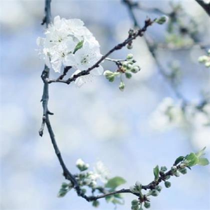 浪漫爱情说说一辈子