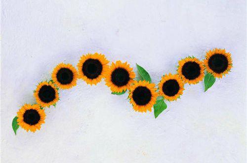 分手挽救爱情的句子