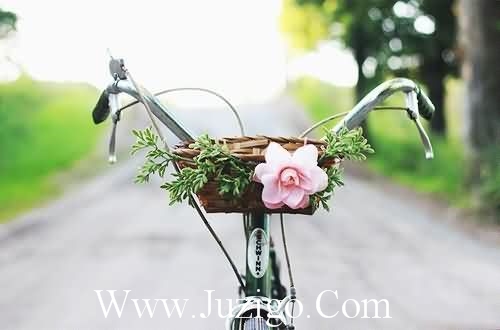 甜言蜜语的情话告白短句又甜又撩的表白情话(精选75句)