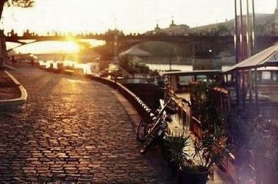 ​唯美的句子关于爱情520汇编57句