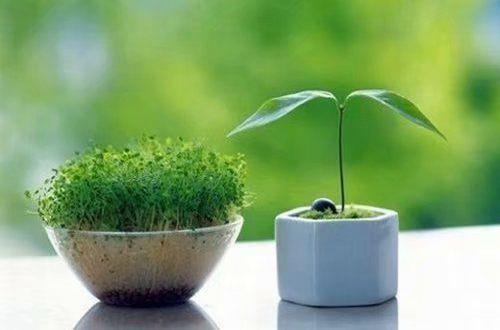 网络爱情感悟的句子