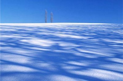 ​简单的爱情伤感句子50条