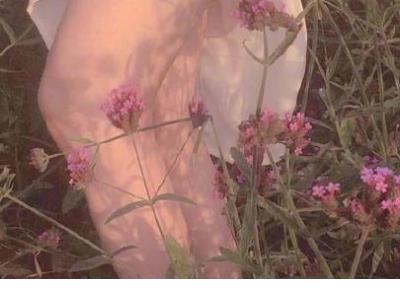 简短的表白语录超甜