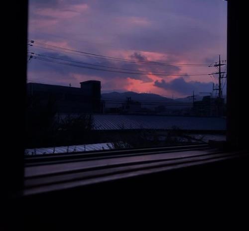 简短的表白语录超甜