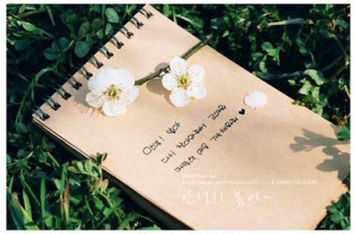 ​治愈神仙温柔短句 森系干净短句无关爱情(59句)