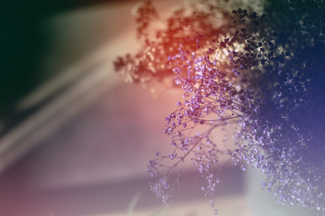 得不到回应的爱情语录 卑微的爱情伤感短句