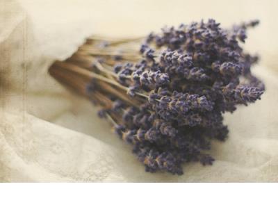 最浪漫的表白句子