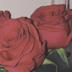 ​催人泪下的表白信(最浪漫的表白句子)