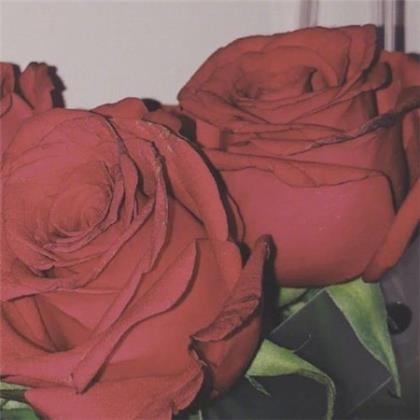 催人泪下的表白信