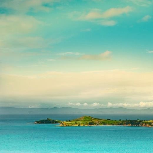 催人泪下的表白信