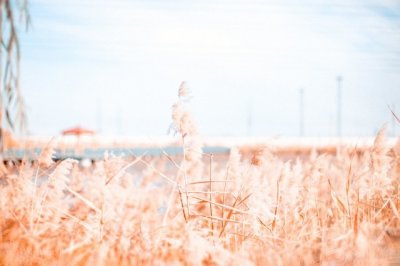 ​关于表白的说说 说说表白大全