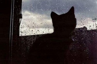 ​简短的伤心爱情句子摘录46条