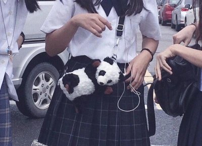 ​关于关于心跳的撩人情话的信息