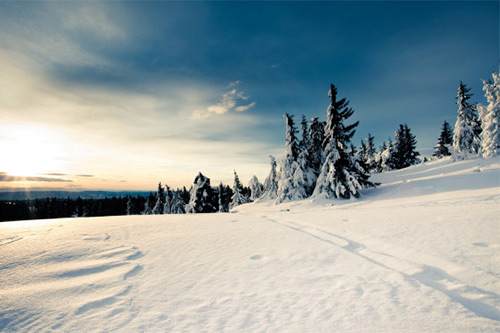 经典伤感语录85句