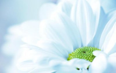 ​凄美文艺伤感长语录